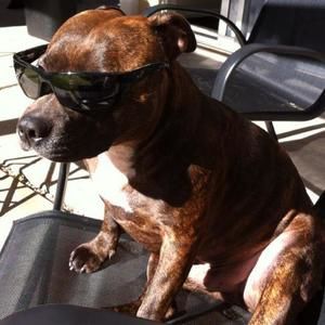 Meet your Posher, Vinnie